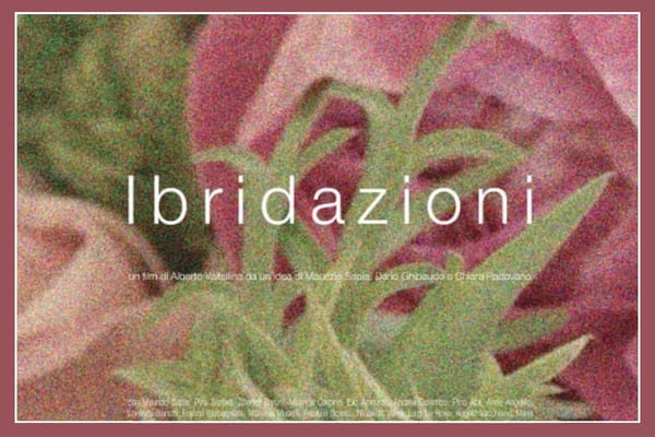 Ibridazioni - Tip Teatro-Biblioteca - Lamezia Terme - Biglietti