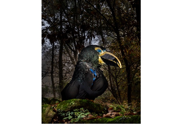 Innaturale - Parco dei Frati Cappuccini - Santarcangelo di Romagna - Biglietti