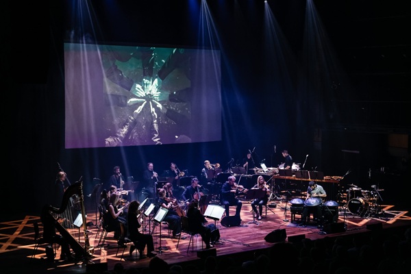 Kasino Live: Manu Delago + Orchestra - Environ Us - Silandro - Biglietti