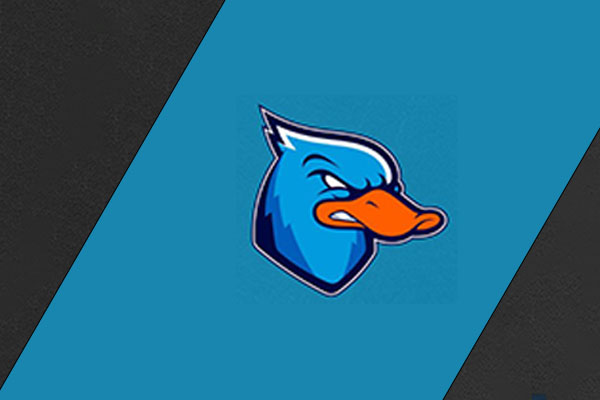 Ducks Lazio - Abbonamento 4 partite Campionato Nazionale I Divisione IFL