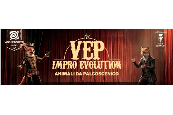 VEP IMPRO EVOLUTION